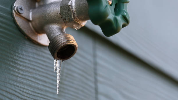 Best Drain Cleaning Services  in Logansport, LA